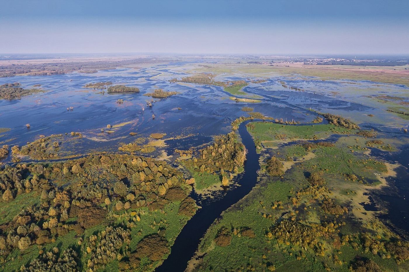 Ілюстрація: відновлення водно-болотних угідь
