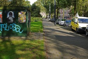Міські дерева: тінь, охолодження вулиць і простір для коренів